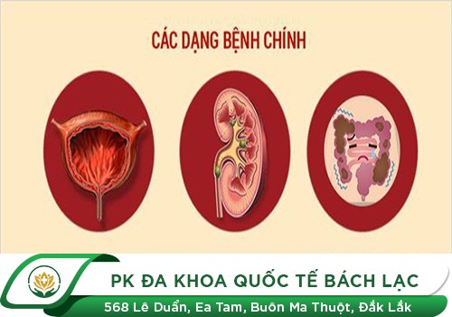 Tiểu không được là biểu hiện của bệnh lý nào?