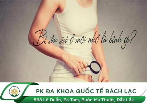 Bị Sần Sùi Ở Môi Nhỏ Là Bệnh Gì? Bác Sĩ Chuyên Khoa Chia Sẻ Cách Trị
