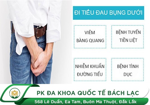 Bị Đau Bụng Dưới Ở Giữa, Dấu Hiệu Bệnh Lý Không Thể Bỏ Qua