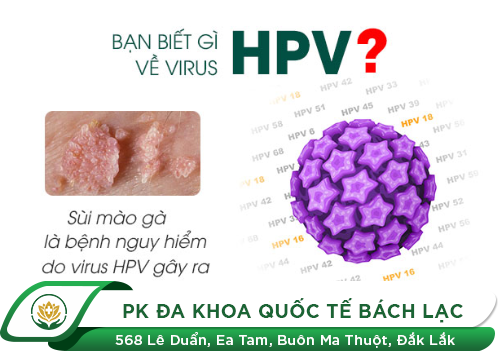 Virus HPV Là Gì? Xét Nghiệm HPV Ở Đâu Uy Tín Nhất?