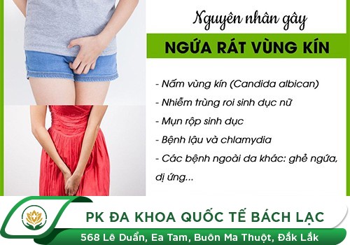 Ngứa Dương Vật. Nguyên Nhân Và Cách Điều Trị