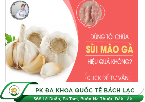 Chữa Mụn Cóc Sinh Dục Bằng Tỏi Có Thật Sự Hiệu Quả