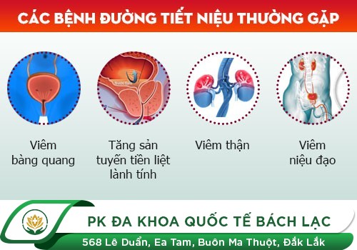 Ngứa Đường Tiểu Liệu Có Phải Là Dấu Hiệu Bình Thường