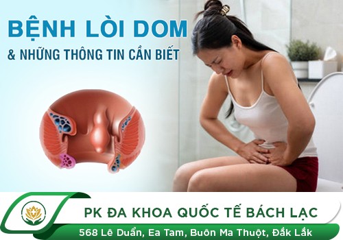 Lòi dom là bệnh gì?