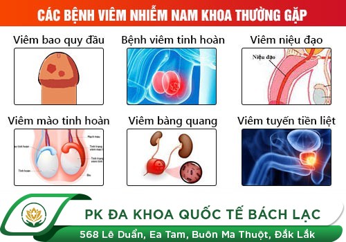 Các Bệnh Lý Nam Giới Thường Gặp Nhất