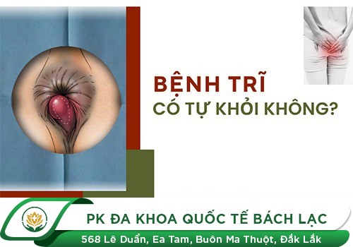 Bệnh trĩ nếu không điều trị có tự khỏi được không?