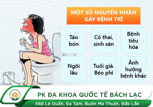 Nguyên Nhân Gây Nên Bệnh Trĩ Cả Nam Nữ
