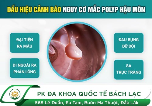   Đi cầu ra máu là bị gì