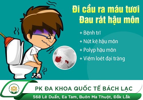 Đi vệ sinh ra máu là bệnh gì?