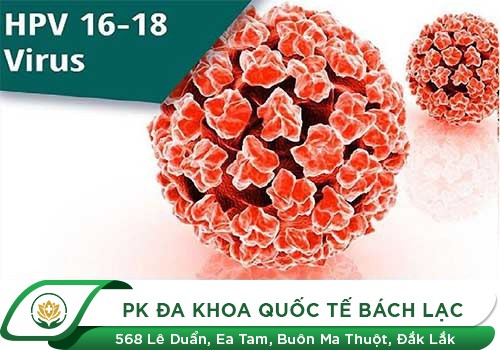 VIRUS HPV LÀ GÌ?