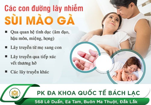 Nguyên nhân gây bệnh sùi mào gà