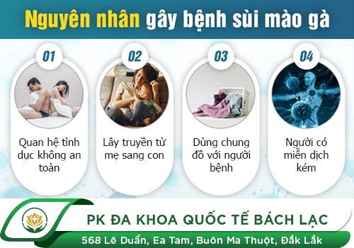 Đường lây của bệnh sùi mào gà mà bạn cần phải chú ý