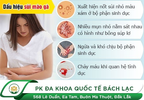 Bệnh mồng gà là bệnh như thế nào?