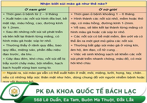 Tìm hiểu chung về bệnh sùi mào gà