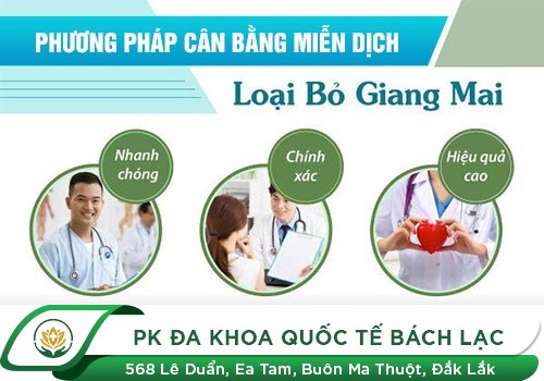Địa chỉ hỗ trợ điều trị bệnh giang mai ở nam giới hiệu quả