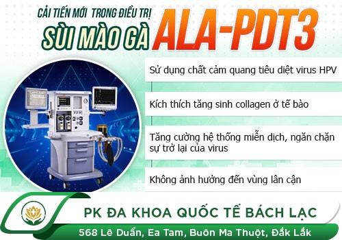 Gai dương vật chữa trị bằng cách nào hiệu quả nhất?