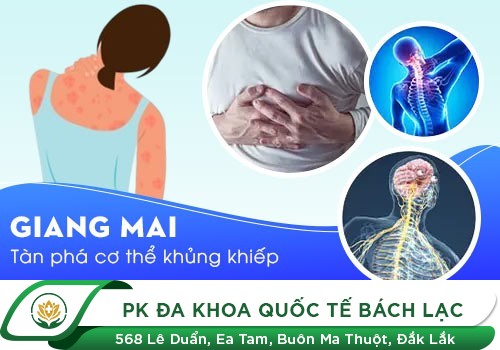 CÁC CĂN BỆNH XÃ HỘI PHỔ BIẾN Ở VIỆT NAM
