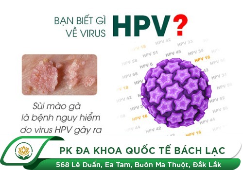 Virus HPV là gì?