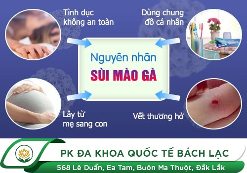 Nguyên nhân gây sùi mào gà ở cổ tử cung
