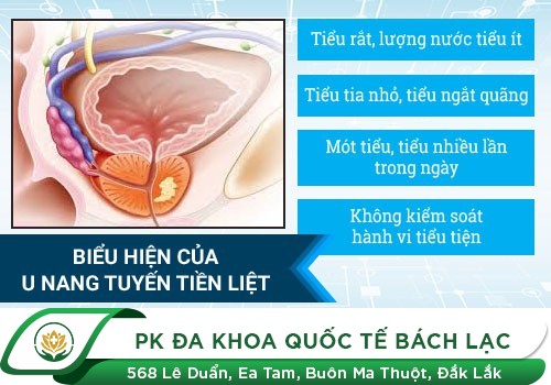 TIỂU RA MÁU, ĐÁI RA MÁU LÀ DẤU HIỆU CỦA BỆNH GÌ?