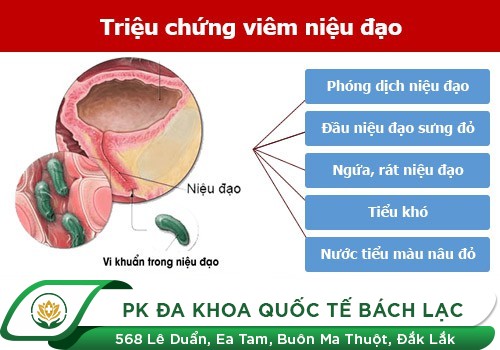 NGUYÊN NHÂN GÂY TIỂU RA MÁU, ĐÁI RA MÁU Ở CẢ NAM VÀ NỮ GIỚI