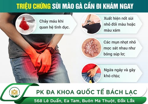 Hậu môn bị lồi thịt không đau là bị gì