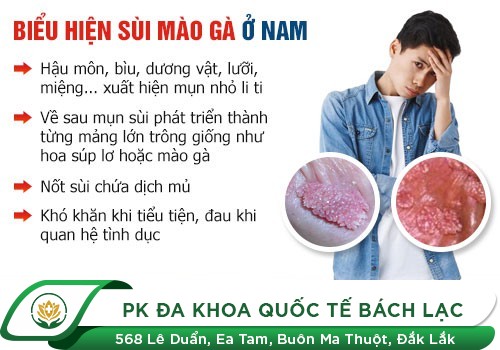 Nổi hột ở dương vật là dấu hiệu bệnh gì?