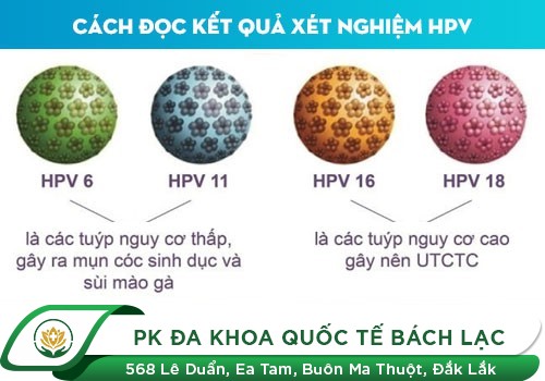 Sùi mào gà ủ bệnh trong bao lâu thì phát bệnh?