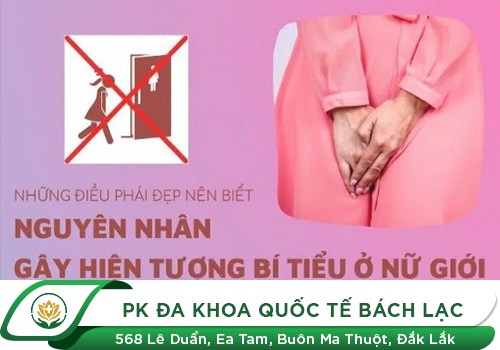 Tìm hiểu về tình trạng bí tiểu ở nữ giới