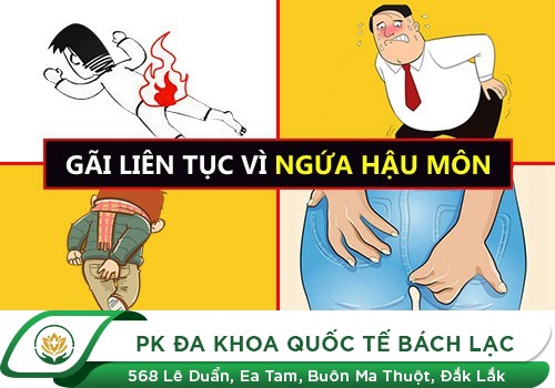 Ngứa Hậu Môn - Nguyên Nhân Và Cách Hỗ Trợ Điều Trị Hiệu Quả