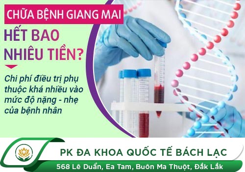 Chi Phí Chữa Bệnh Giang Mai Bao Nhiêu Tiền