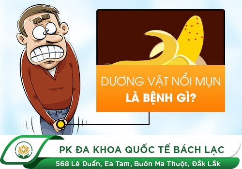 Nổi Mụn Trắng Ở Bao Quy Đầu Và Những Bệnh Lý Không Thể Bỏ Qua