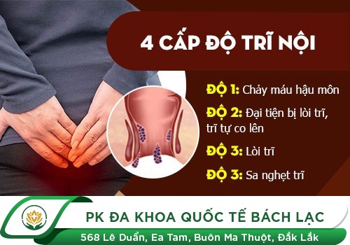 Những Biểu Hiện Cảnh Báo Bệnh Trĩ Nội