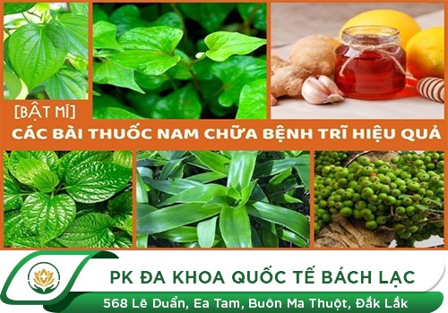 Bài Thuốc Nam Chữa Bệnh Trĩ