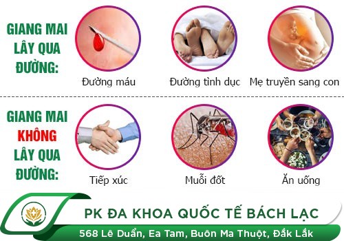 Mắc Bệnh Giang Mai Ở Nữ Sẽ Có Nguy Cơ Tử Vong Rất Cao