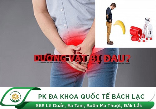 Nguyên Nhân Khiến Bao Quy Đầu Sưng Tấy
