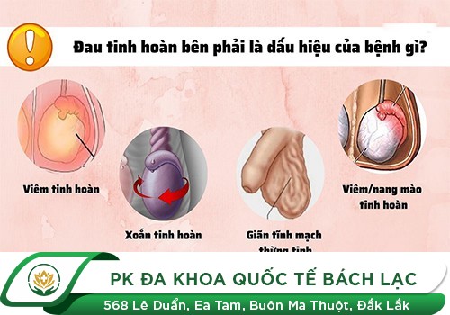Bị đau tinh hoàn có sao không?