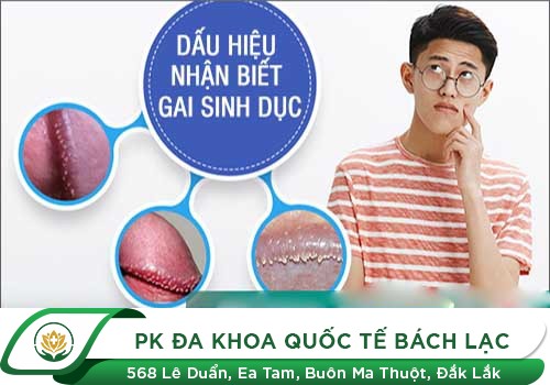 Gai Sinh Dục Là Gì, Có Nguy Hiểm Không