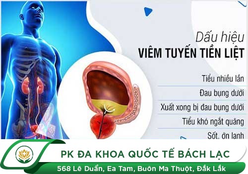 Đi Tiểu Đau, Tiểu Khó Khăn Có Phải Bị Viêm Tuyến Tiền Liệt Không