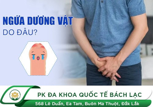 Dương vật bị ngứa và bệnh lý tiềm ẩn