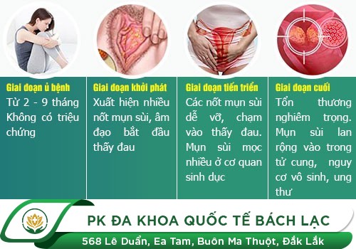 Nhận Biết Các Dấu Hiệu Của Sùi Mào Gà Ở Nữ