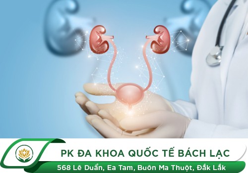 Khám hệ tiết niệu nhận biết những bệnh gì? Địa chỉ khám ở đâu?
