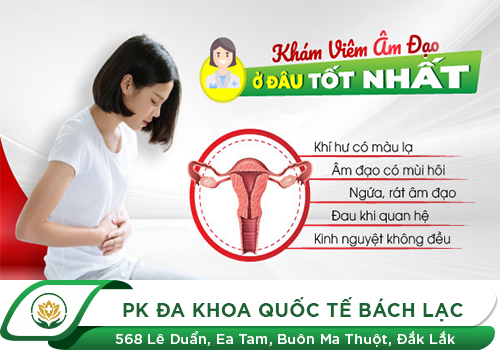 Tình Trạng Viêm Nhiễm Ngứa Âm Đạo Do Nấm