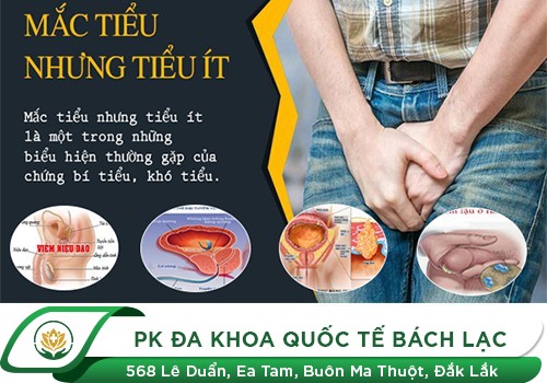 Mắc tiểu nhưng tiểu ít là bệnh gì?