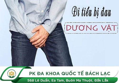 Nguyên nhân đi tiểu bị đau dương vật
