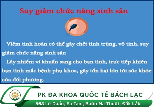 Viêm tinh hoàn có nguy hiểm không