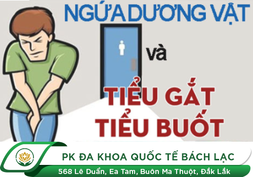 Ngứa Vùng Kín Ở Nam Giới
