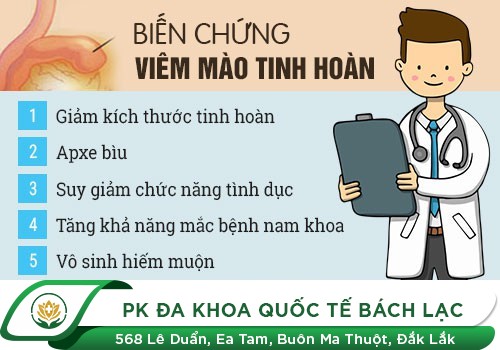 TÁC HẠI CỦA VIÊM MÀO TINH HOÀN