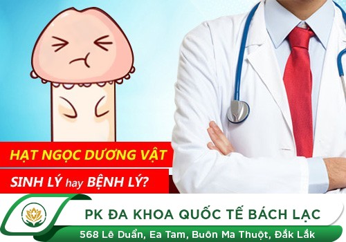 Chuỗi hạt ngọc dương vật là gì?