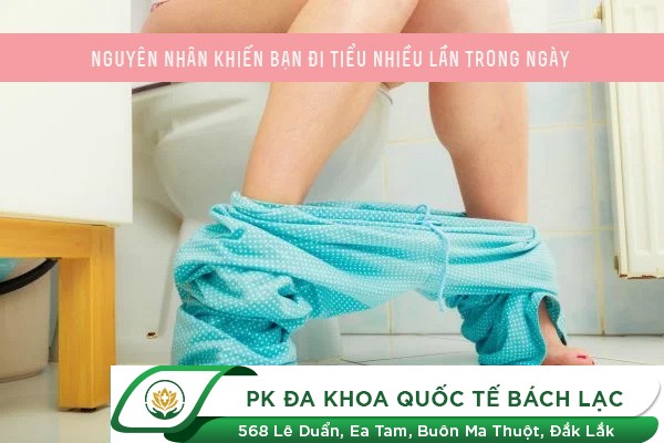 Nguyên Nhân Và Cách Chữa Hiện Tượng Đi Tiểu Đêm Nhiều Lần
